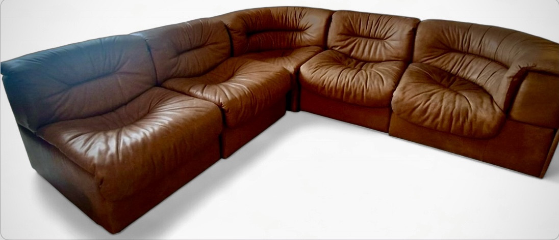 De Sede Leather Sofa In 5 Elements Modular Sofa Ds14 Series 