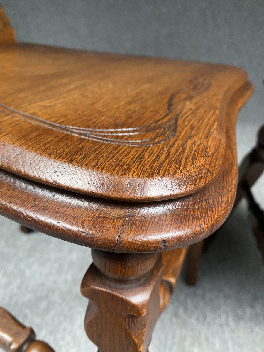 Pair Of Art Nouveau-era Side Chairs With Irises By émile Gallé, Circa 1885–1890 -photo-4