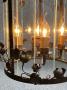 1821746-alb-6aa85b44c8998.jpg