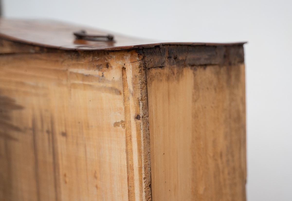 Vicenza Commode In Walnut And Walnut Burl – 18th Century-photo-6