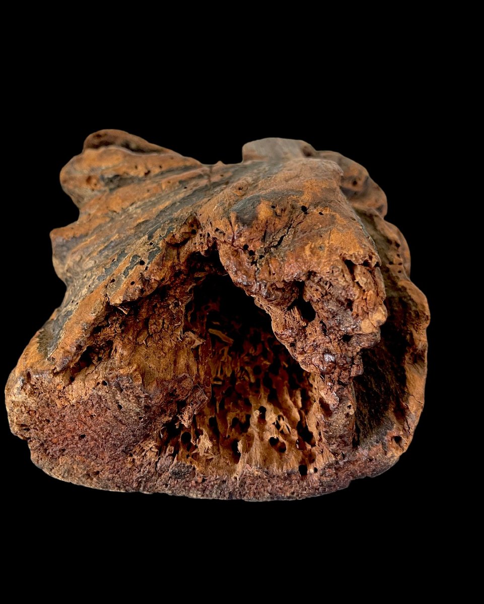 Gothic Orant In Polychrome Oak – France, 15th Century-photo-4