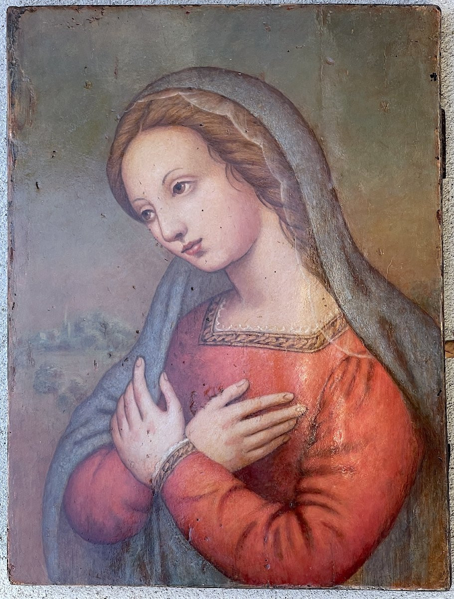 Virgin In Prayer - Tempera On Wood Panel - Italian School, 16th Century-photo-3