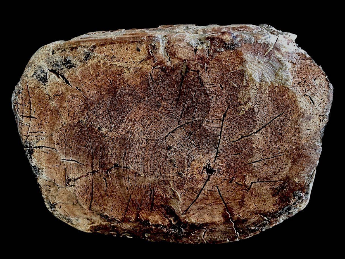 Christ In Chains – Sacred Art Sculpture – Western Europe, 16th Century – Renaissance -photo-6