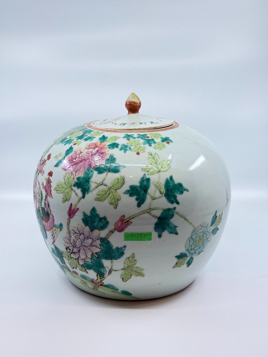 Ginger Pot - China, Late 19th Century-photo-2