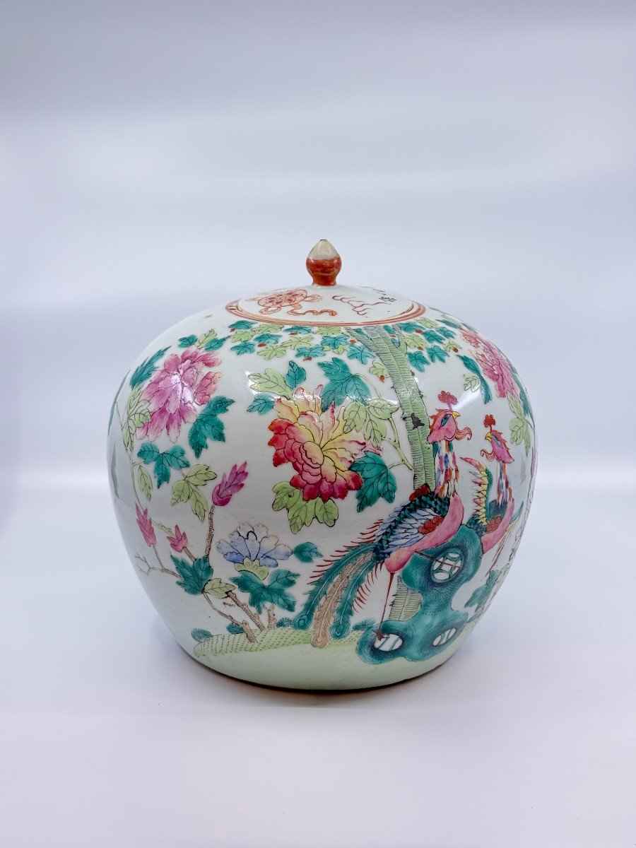 Ginger Pot - China, Late 19th Century-photo-3