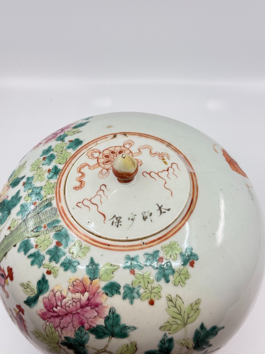 Ginger Pot - China, Late 19th Century-photo-4