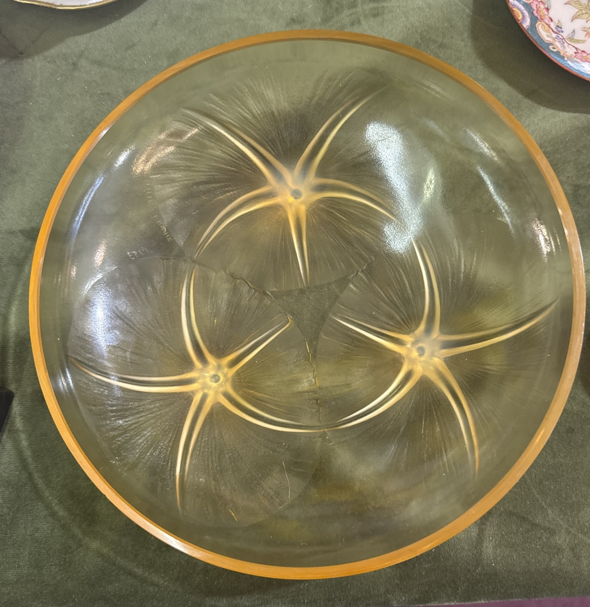 Coupe R.Lalique ambre
