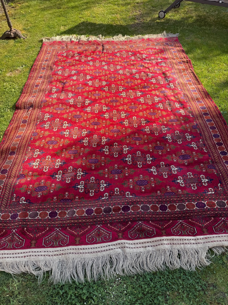Bukhara Oriental Rug 20 Th 3,3mx2 M