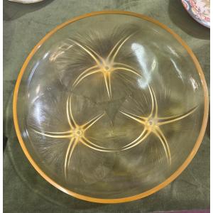 R.lalique Amber Cup