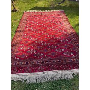 Bukhara Oriental Rug 20 Th 3,3mx2 M