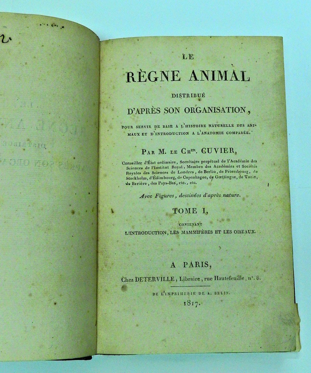 Le Règne Animal Distribué d'Après Son Organisation Par Georges Cuvier 1ère édition de 1817-photo-1