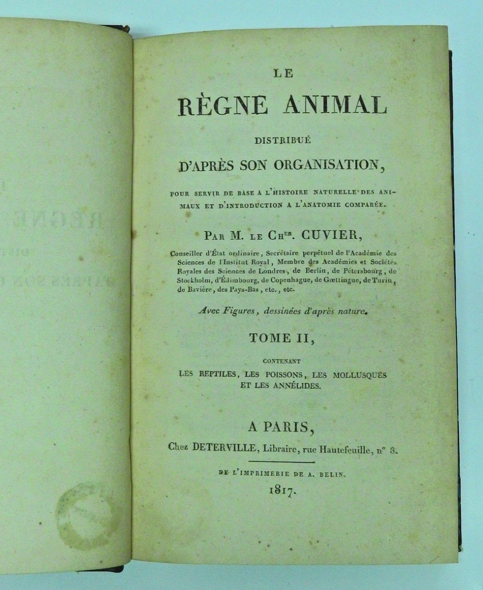 Le Règne Animal Distribué d'Après Son Organisation Par Georges Cuvier 1ère édition de 1817-photo-4