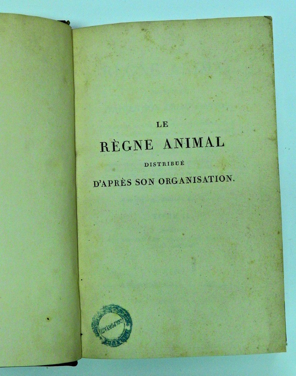 Le Règne Animal Distribué d'Après Son Organisation Par Georges Cuvier 1ère édition de 1817-photo-6