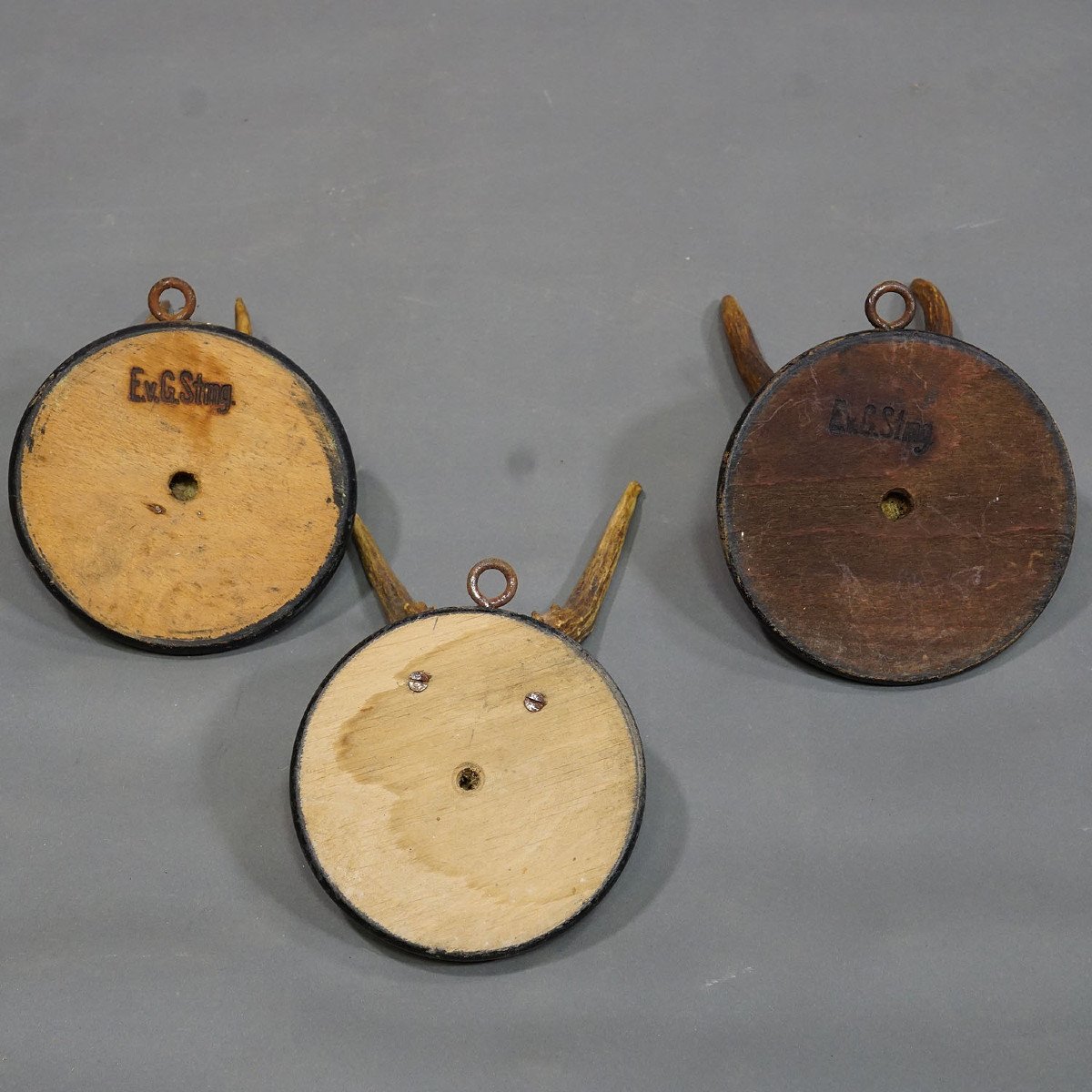 Six Old Deer Trophies On Wooden Plates Germany Circa 1900-photo-3