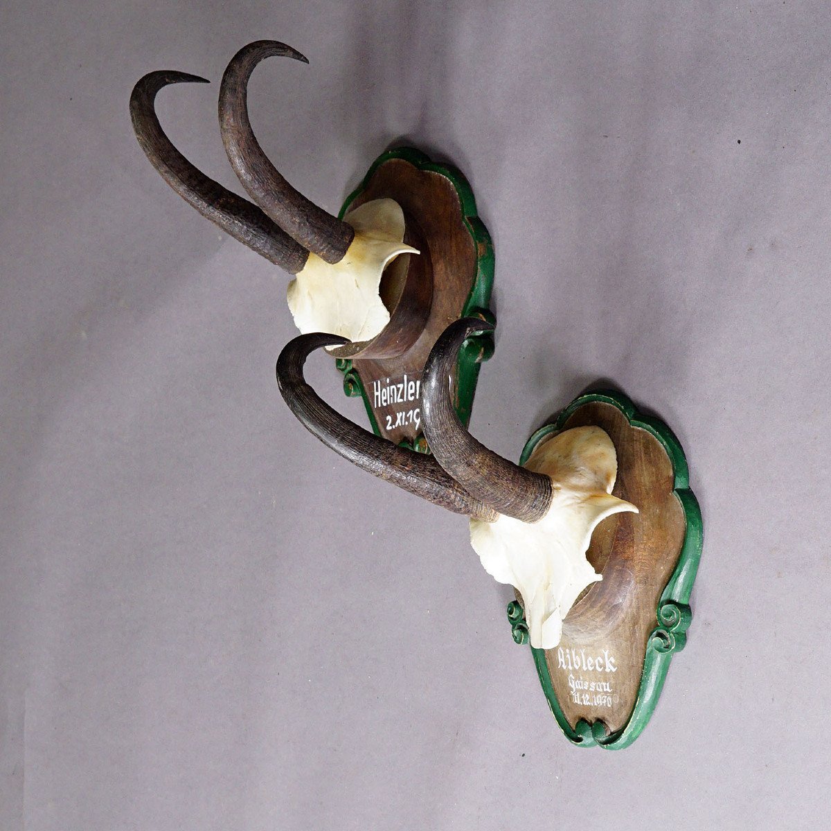 Pair Of Chamois Trophies On Wooden Plaques Germany 1960s-photo-4