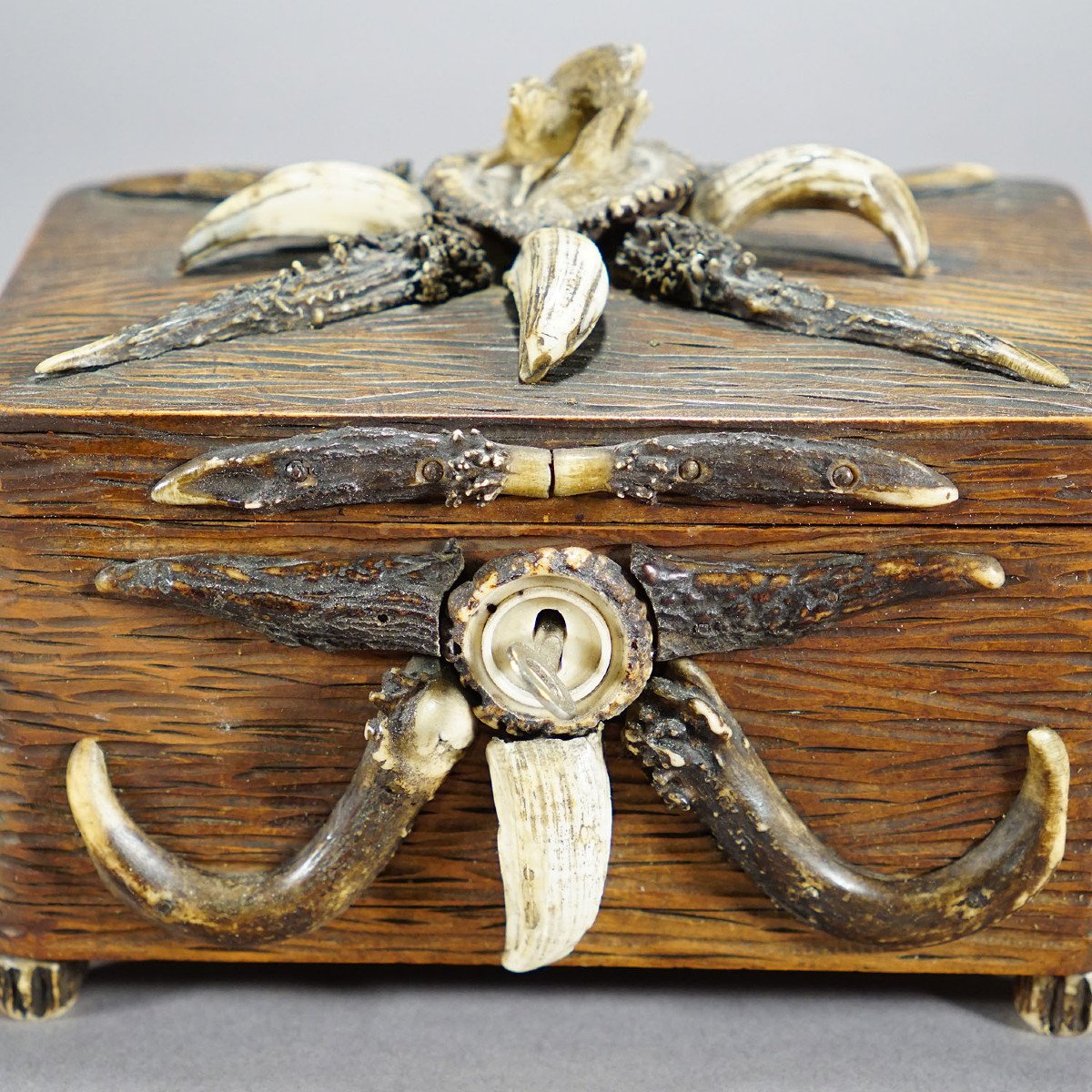 Black Forest Wooden Coffin With Deer Antler Decoration Circa 1900s-photo-4