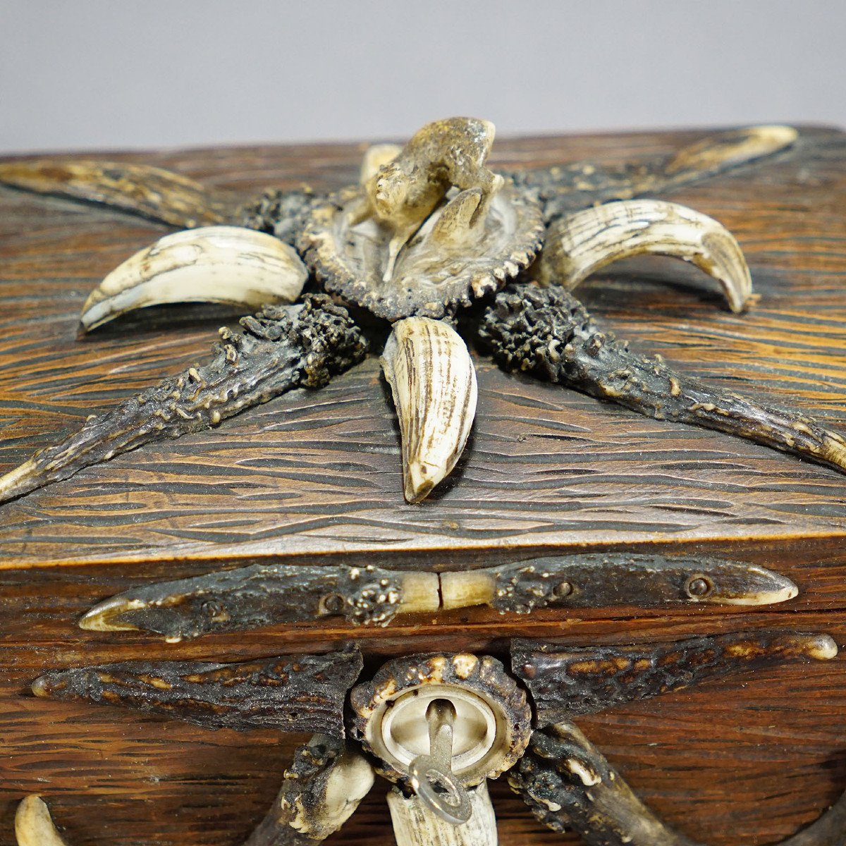 Black Forest Wooden Coffin With Deer Antler Decoration Circa 1900s-photo-3