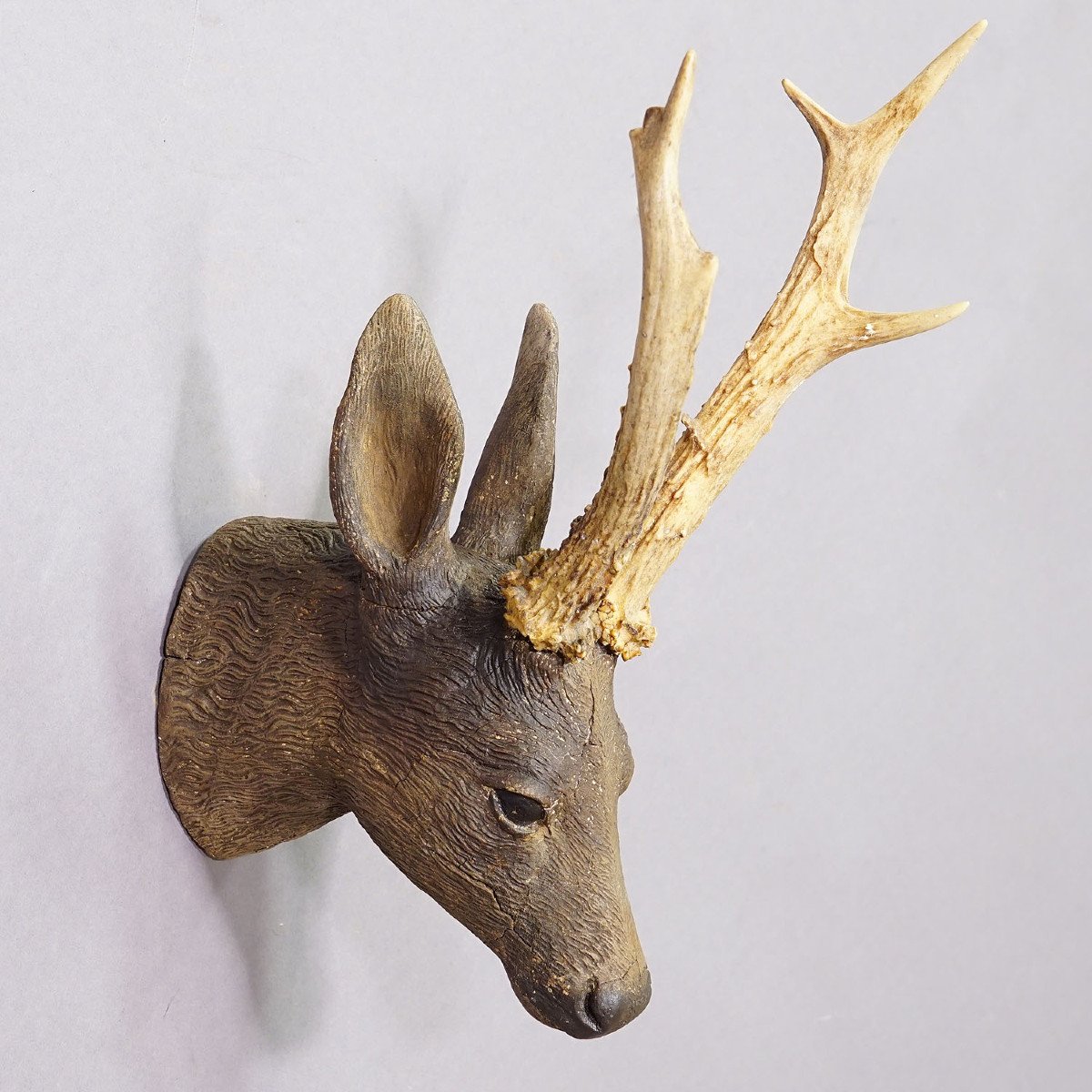 Superb Plaster Deer Head From The Black Forest Circa 1900-photo-4