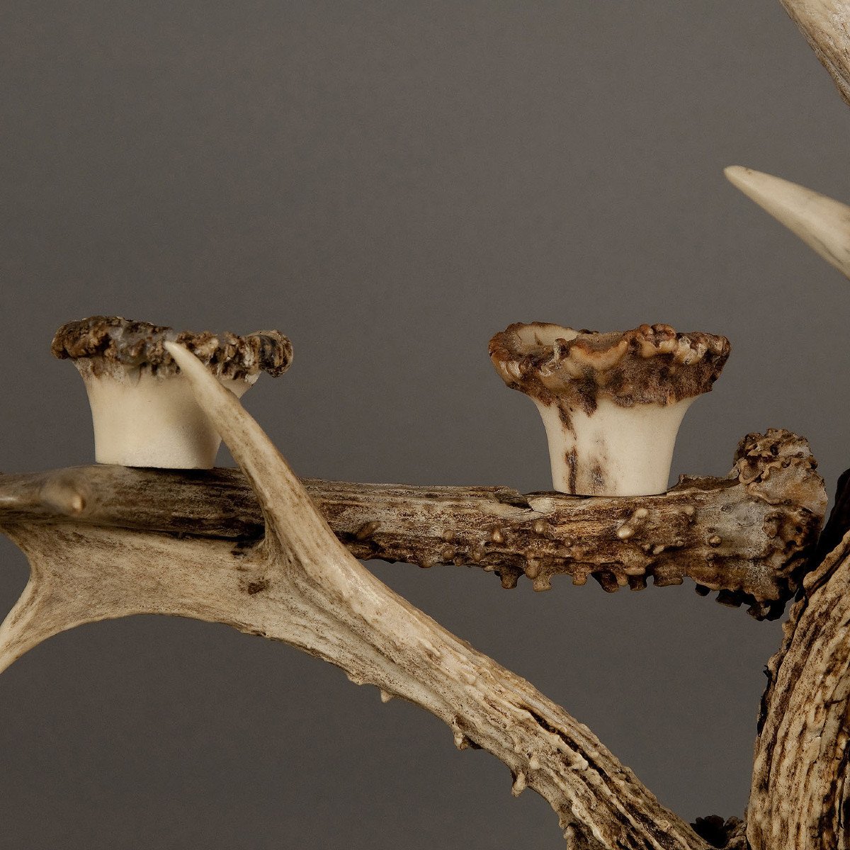 Large Deer Antler Candlestick Ca. 1900-photo-2