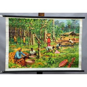 Tableau Mural Enroulable Vintage Cocoa Crop African Gold Coast Landcape