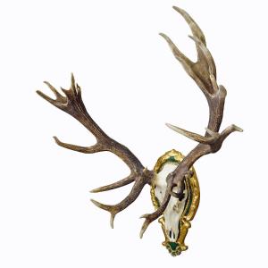 Capital Black Forest Spotty 32 Pointer Deer Trophy On Wooden Plaque