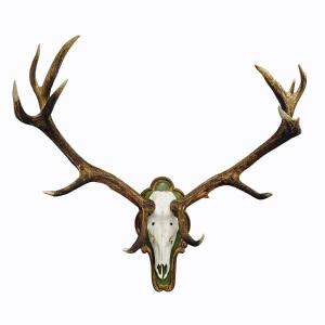 Capital Black Forest 16 Pointer Deer Trophy On Wooden Plaque