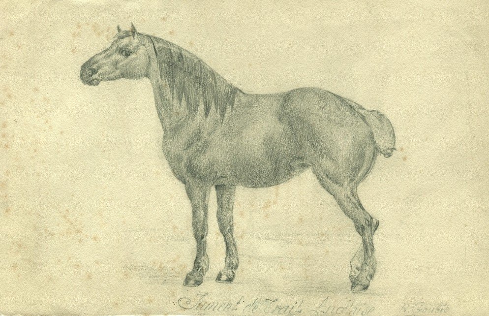 Jean Richard Goubie (1842-1899) - English Draft Mare