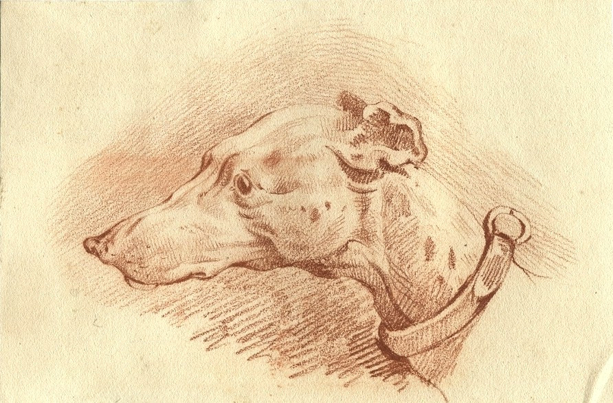 Greyhound Head - Dog Portrait - Antique Red Blood Drawing