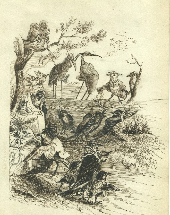 Dessin ancien zoomorphe à la plume et encre - Rassemblement d'oiseaux