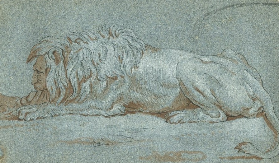 Un Lion -  Dessin original ancien à la plume, lavis et gouache blanche-photo-2