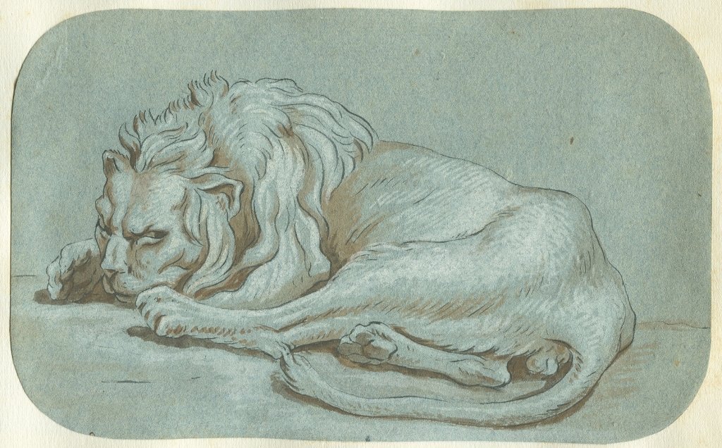 Un Lion -  Dessin original ancien à la plume, lavis et gouache blanche