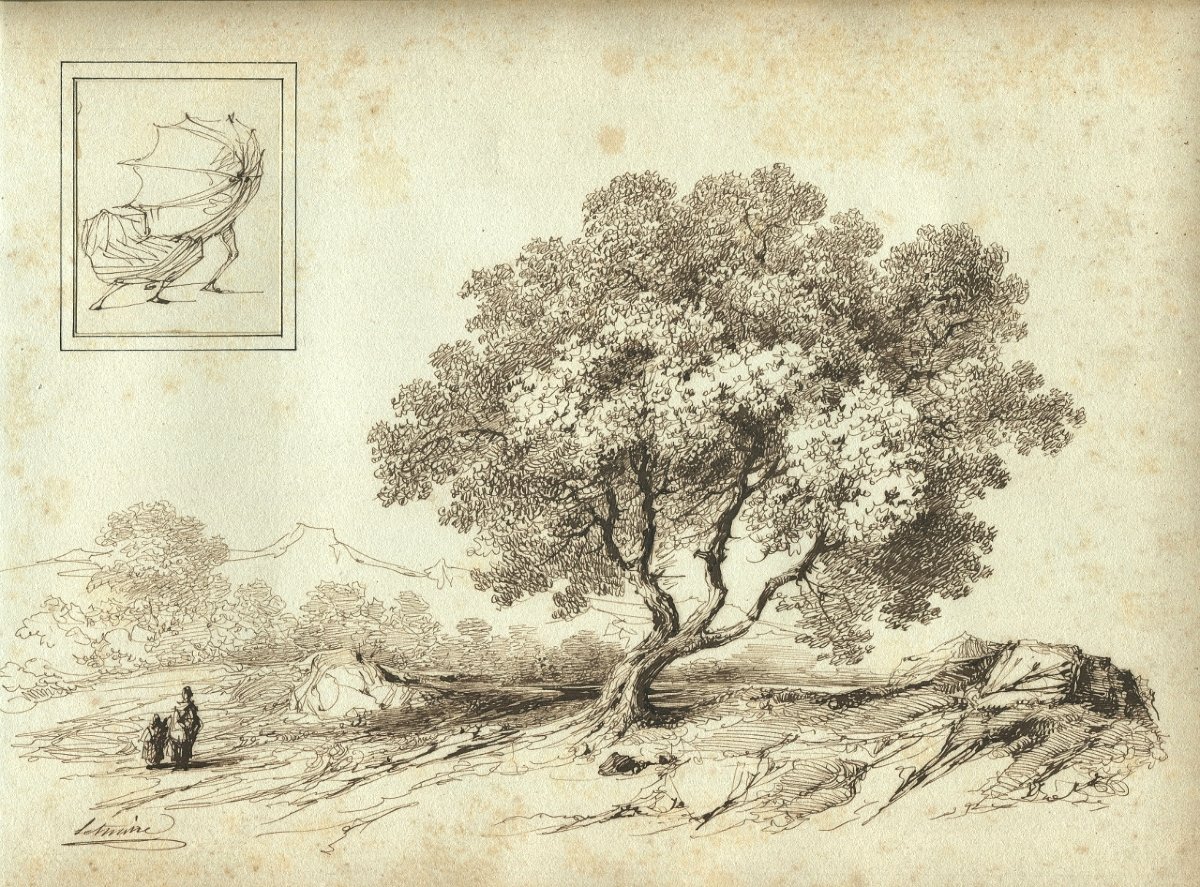 Pierre Letuaire (1798–1884) Tree In A Landscape Near Toulon - Historic Drawing