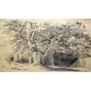 Alexandre Calame (1810-1864) Trees - Old Original Drawing