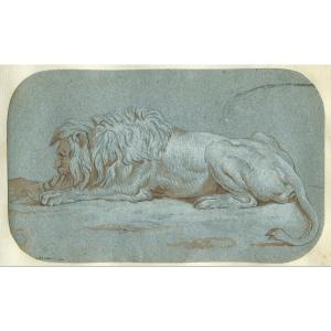 Un Lion -  Dessin original ancien à la plume, lavis et gouache blanche
