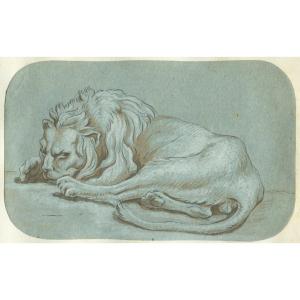 Un Lion - Dessin original ancien à la plume, lavis et gouache blanche