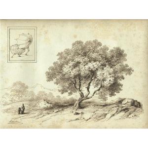 1845824-main-6adf8a798ae24.jpg