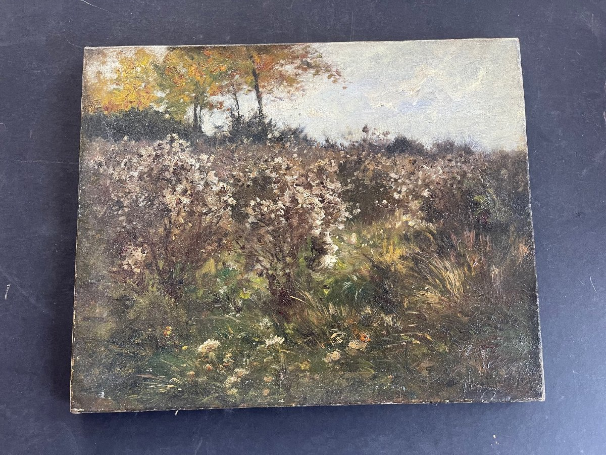 Tableau Félix de Vuillefroy huile sur toile signé paysage XIXème fleurs & prairie-photo-3