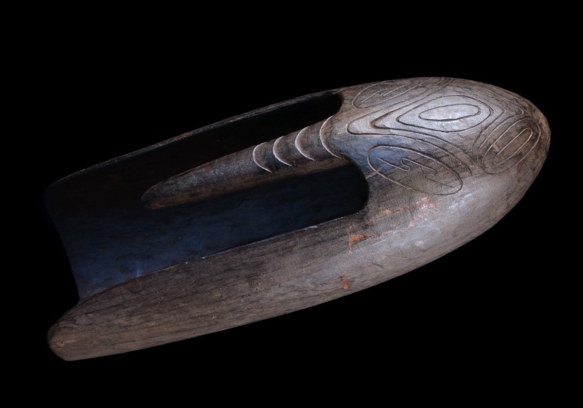 Sea Bailer, Tribal Art, Oceanic Art, Papua New Guinea, Oceania, Marine Object-photo-3
