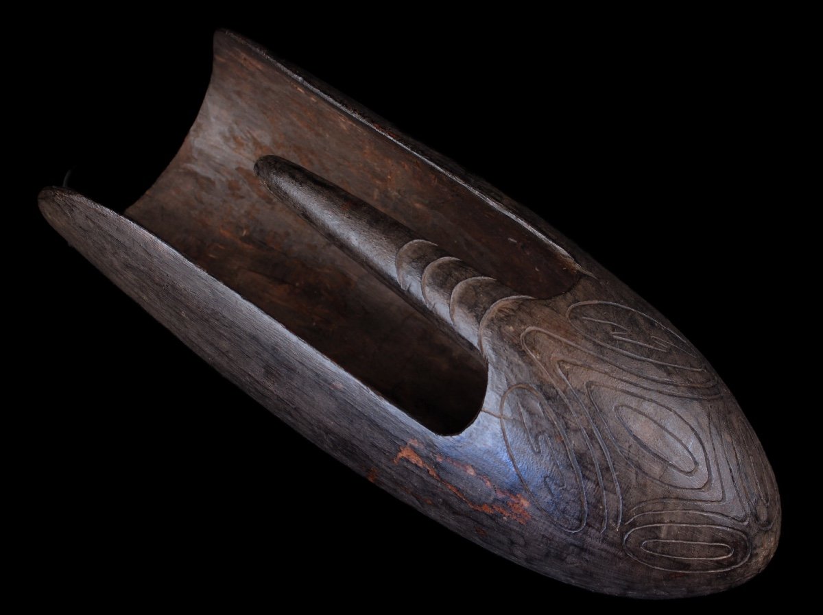 Sea Bailer, Tribal Art, Oceanic Art, Papua New Guinea, Oceania, Marine Object-photo-4