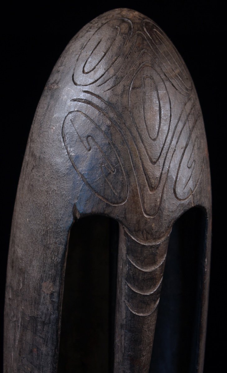Sea Bailer, Tribal Art, Oceanic Art, Papua New Guinea, Oceania, Marine Object-photo-1