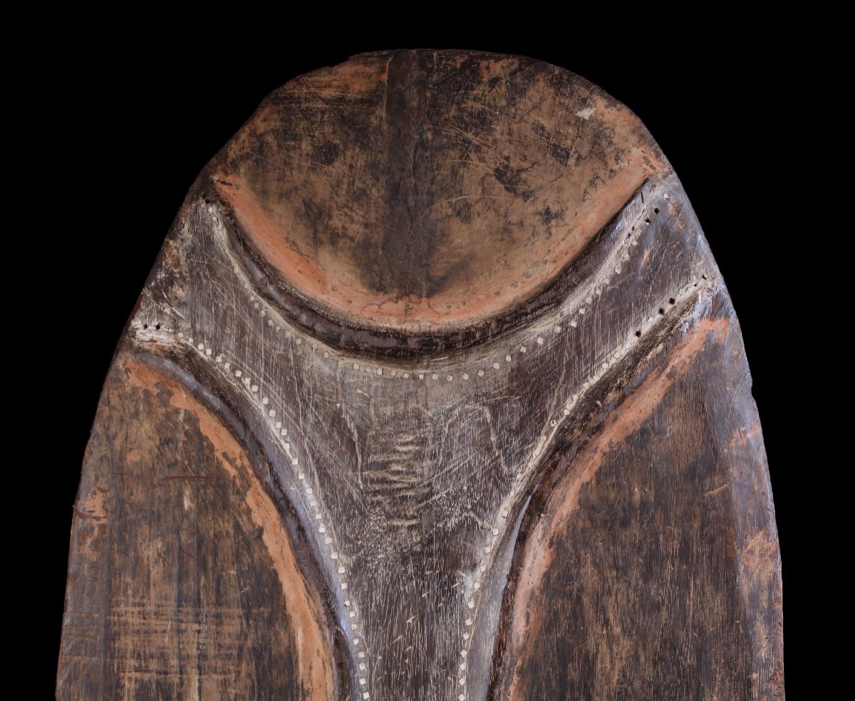 War Shield, Papua New Guinea, Oceania, Primitive Art, Oceanic Art, Sculpture-photo-2