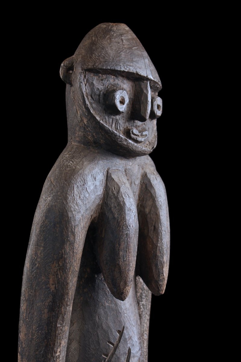 Figure Nogwi, Art Océanien, Art Tribal, Papouasie Nouvelle Guinée, Sculpture, Statue-photo-4