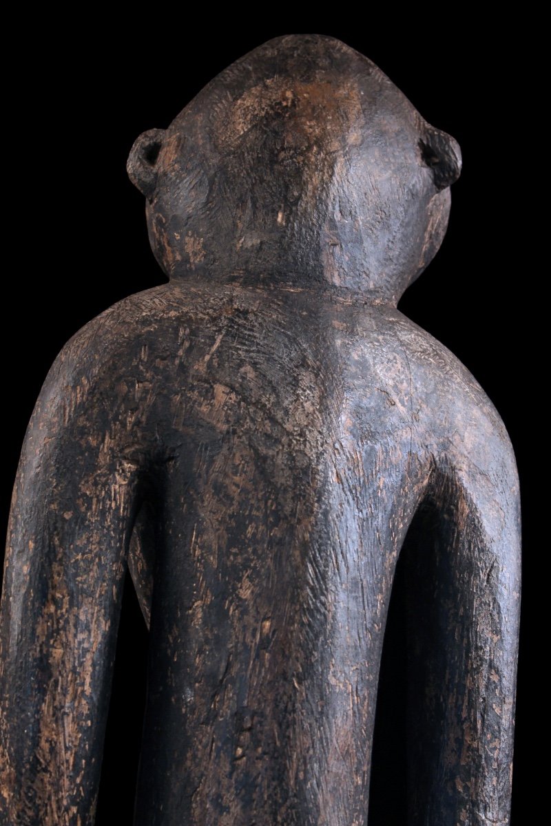 Figure Nogwi, Art Océanien, Art Tribal, Papouasie Nouvelle Guinée, Sculpture, Statue-photo-5