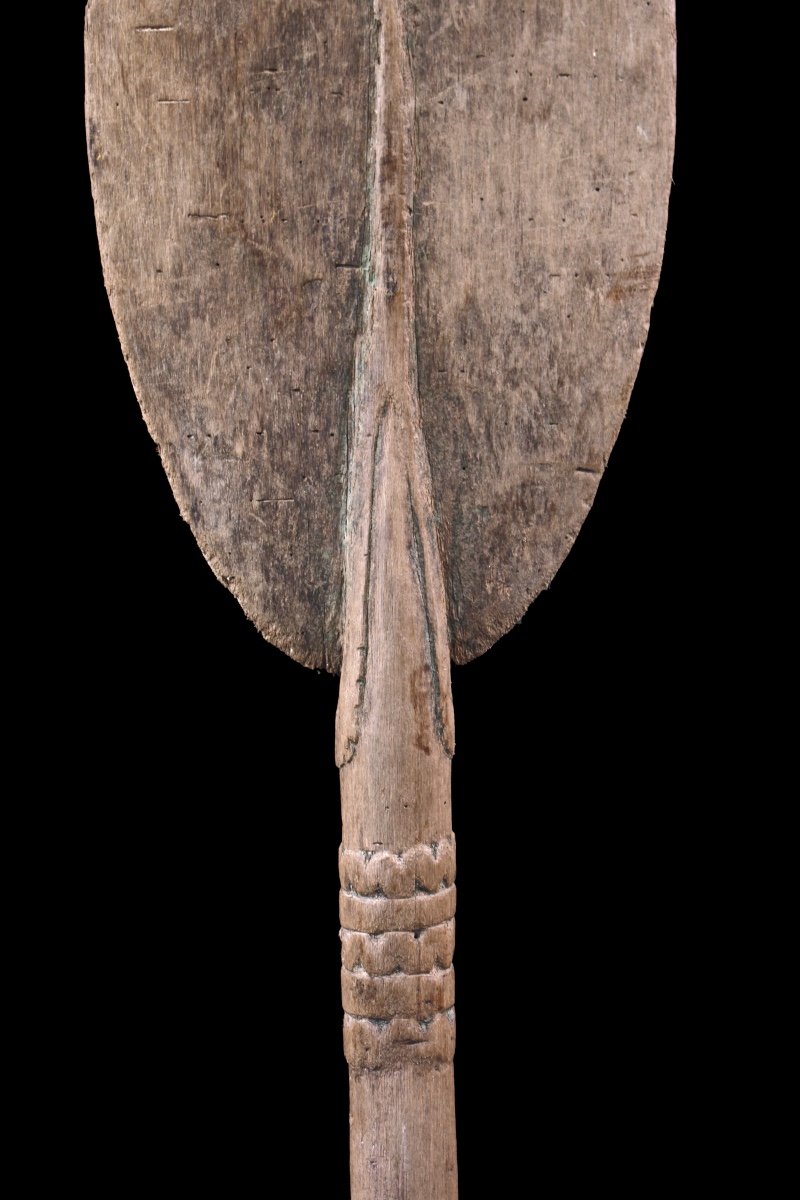 Pagaie, Fleuve Sépik, Papouasie Nouvelle Guinée, Art Océanien, Art Tribal, Sculpture, Océanie-photo-4