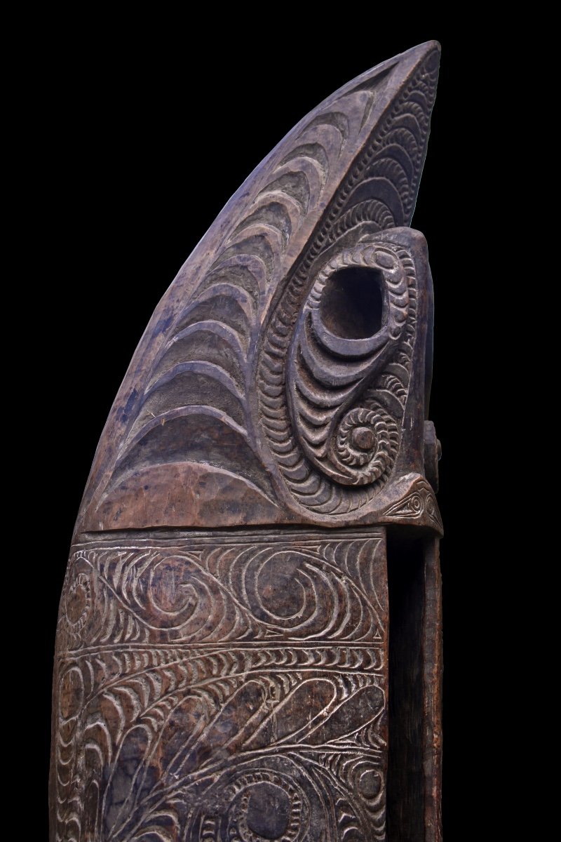 Slit Gong Drum, Papua New Guinea, Tribal Art, Oceanic Art, Garamut, Oceania-photo-6