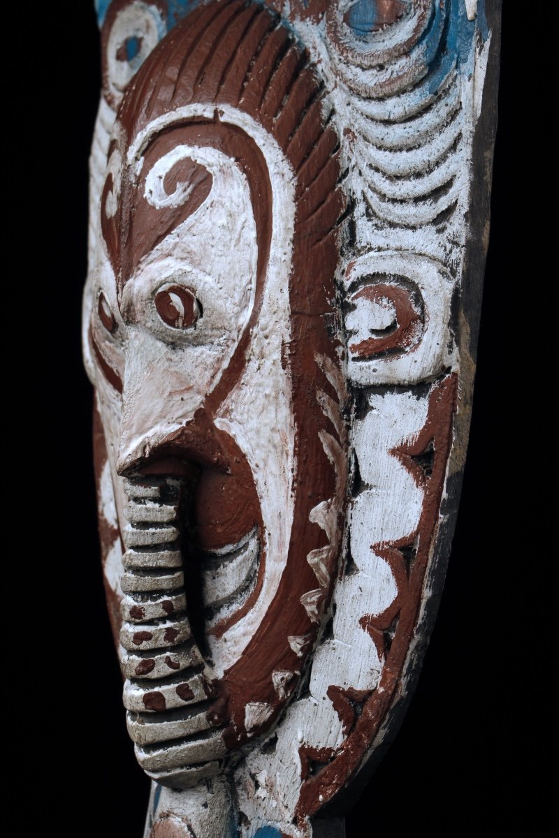 Pirogue Shield, Papua New Guinea, Oceania, Tribal Art, Oceanic Art, Sculpture-photo-8