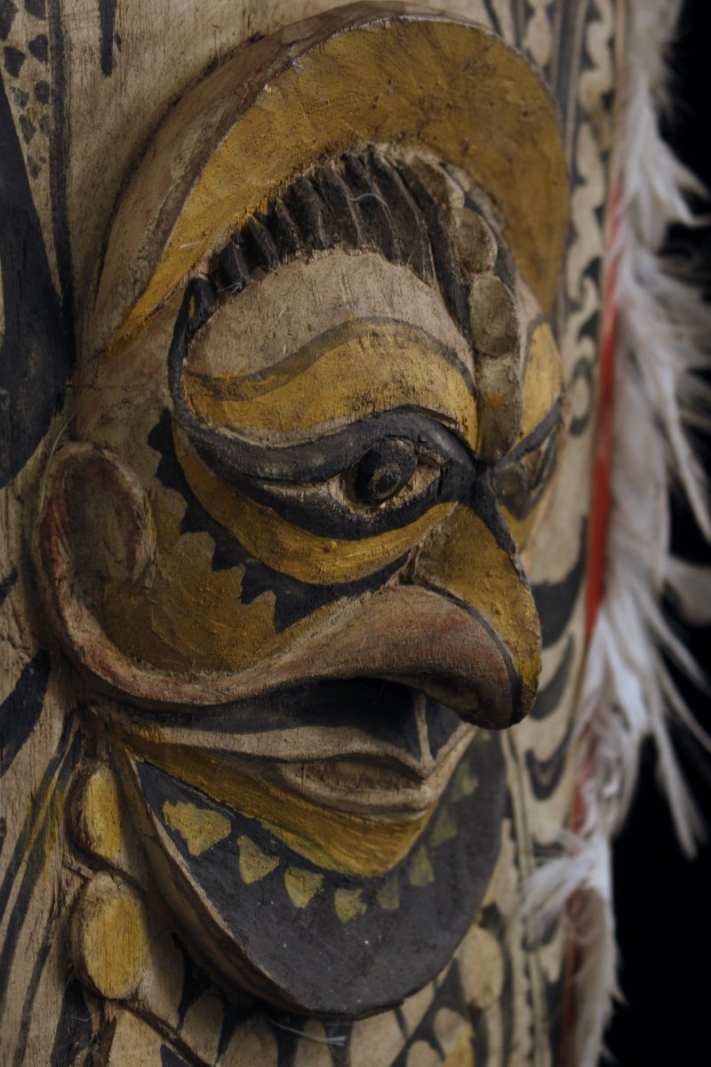 Pirogue Shield, Papua New Guinea, Oceania, Tribal Art, Oceanic Art, Sculpture-photo-4