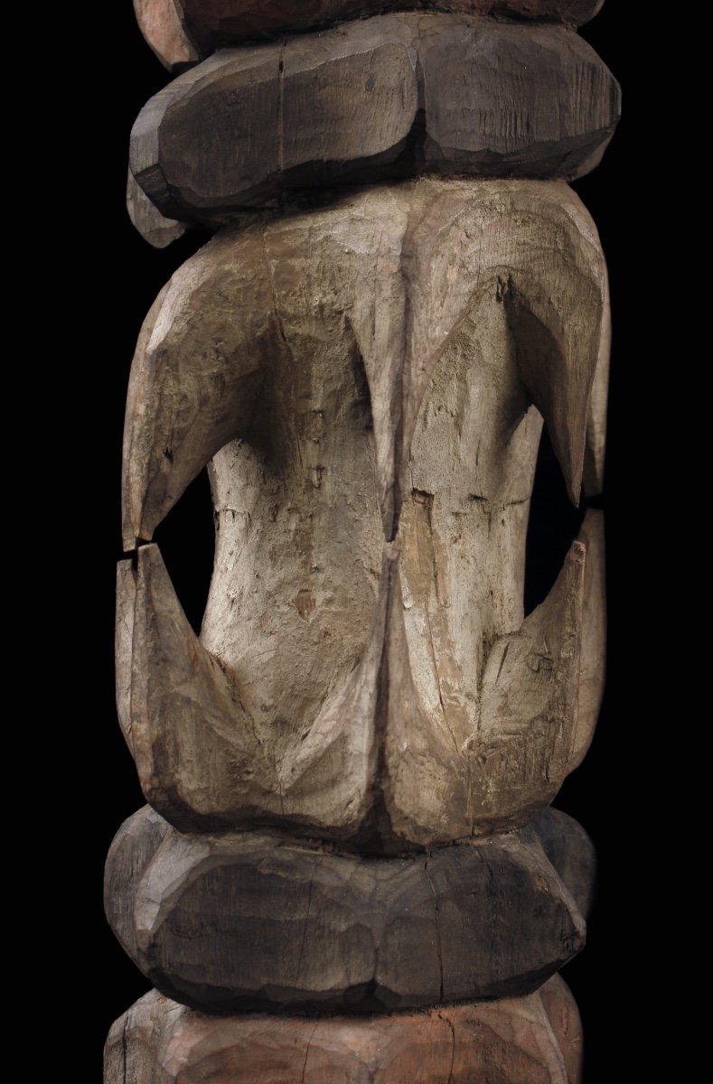 Snake Figure, Tribal Art, Oceanic Art, Sculpture, Papua New Guinea-photo-4