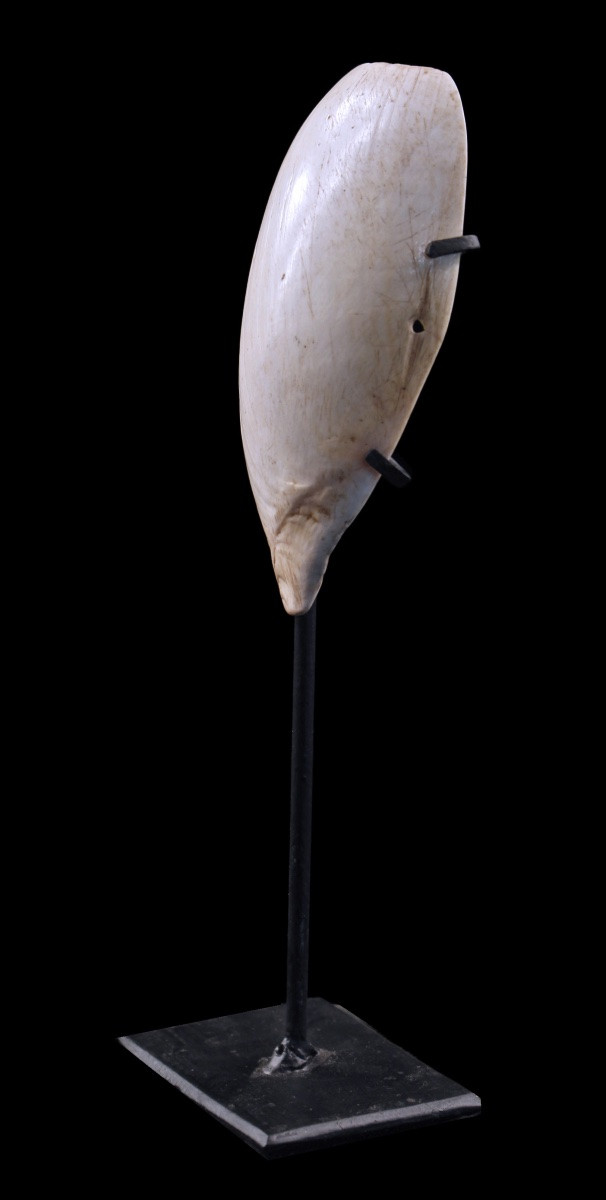 Body Ornament, Element Of Adornment, Tribal Art, Oceanic Art, Papua New Guinea-photo-3