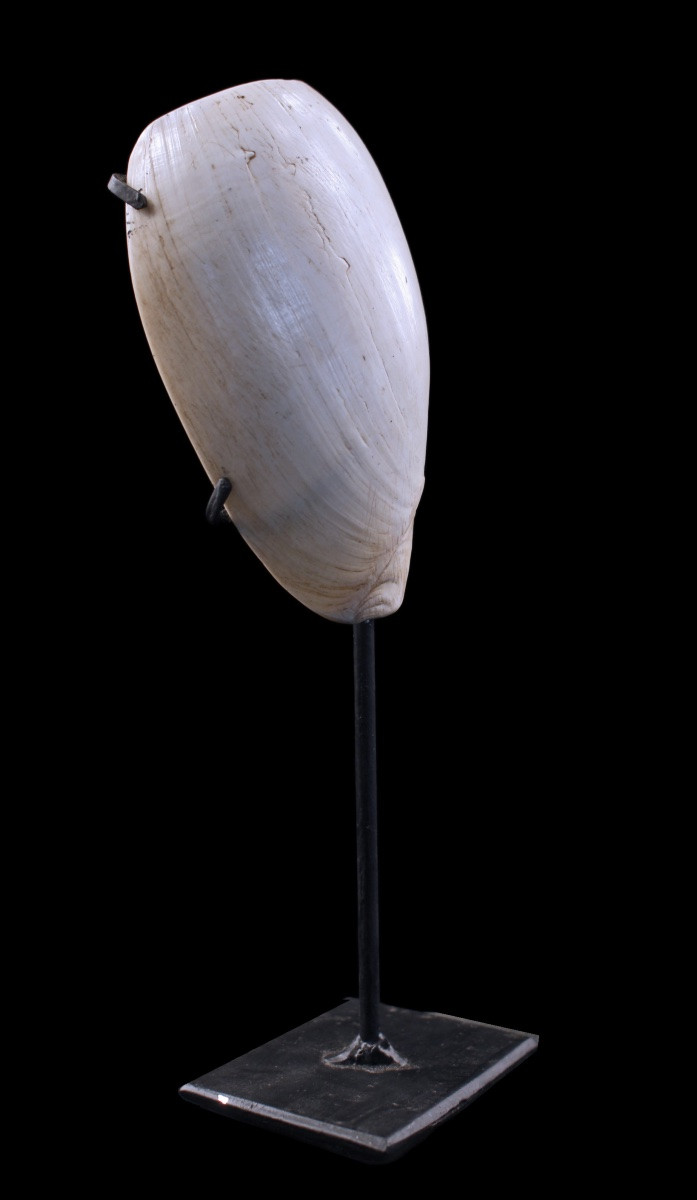 Body Ornament, Element Of Adornment, Tribal Art, Oceanic Art, Papua New Guinea-photo-2